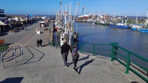 Een promenade aan het water met aangemeerde boten, een voetpad en een heldere lucht.