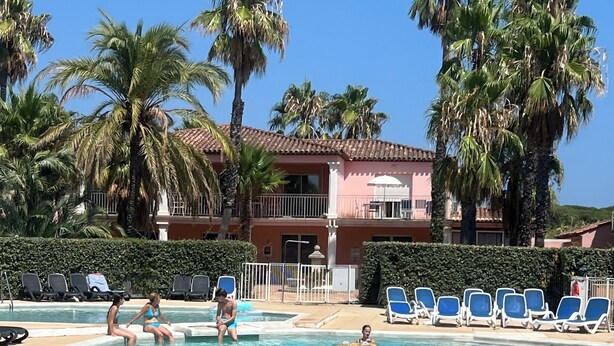 Une piscine avec des chaises longues et des palmiers.