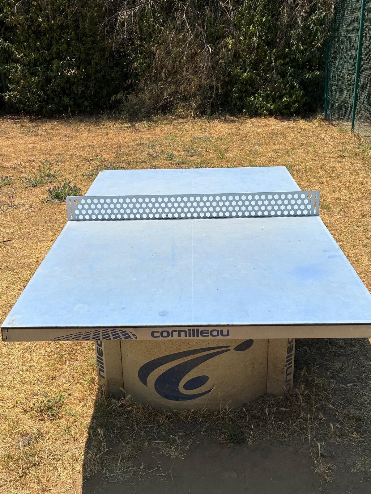 Ein Tischtennistisch mit Netz, draußen auf einer Rasenfläche platziert.