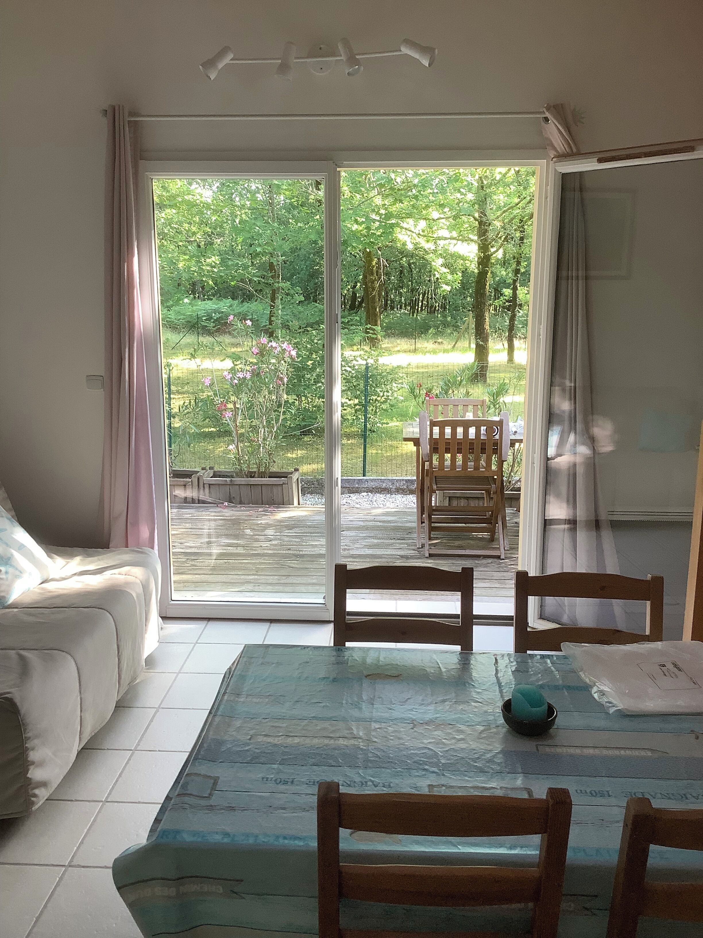 Une pièce comprenant un canapé, une table avec des chaises, une vue sur un jardin par une porte coulissante et un luminaire au plafond.