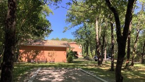 Un sendero de grava que conduce a un edificio con tejado de tejas, rodeado de árboles y vegetación.