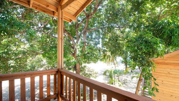 A wooden deck with a view of a beach and trees.