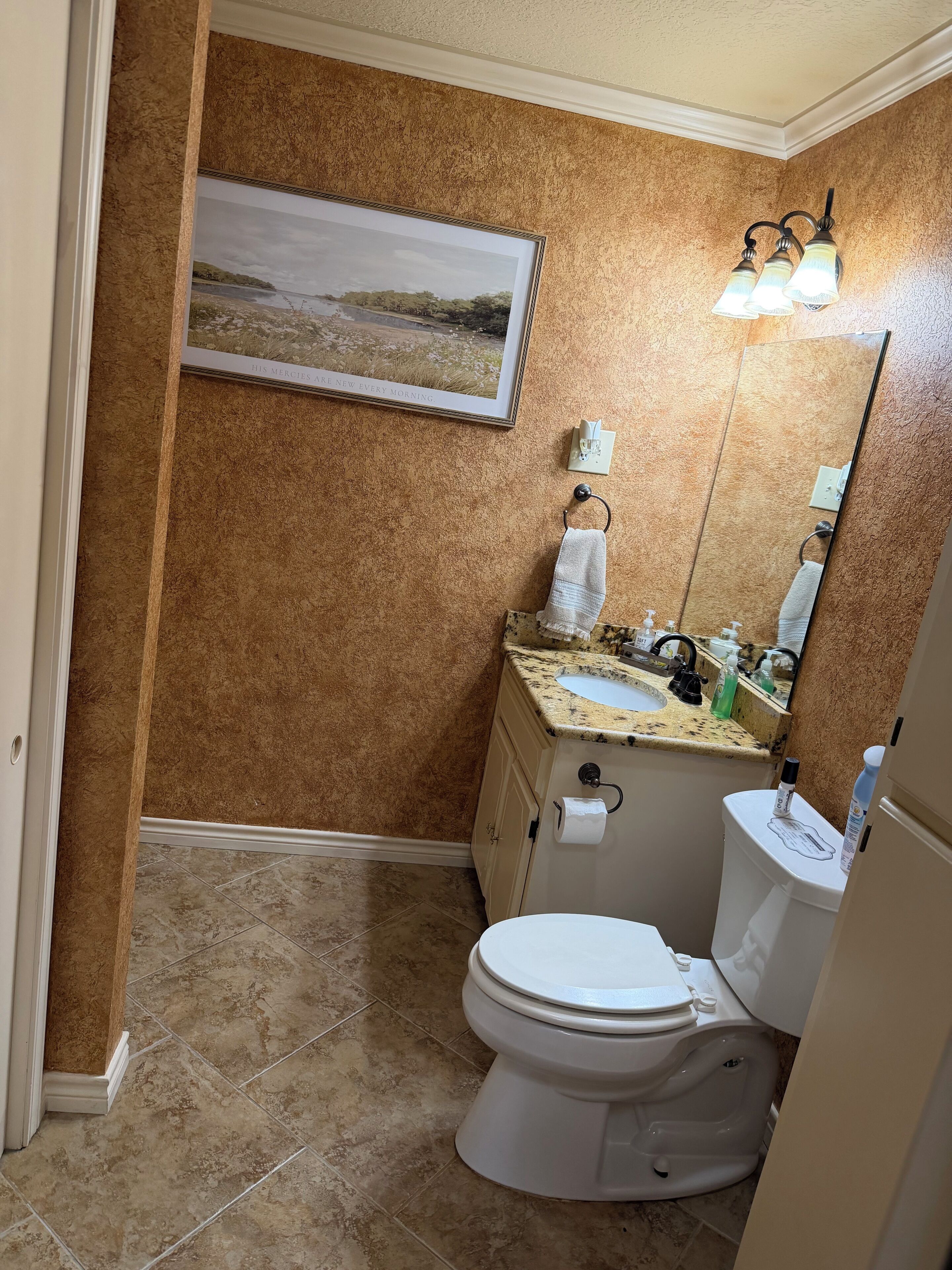 Ein Badezimmer mit Toilette, Waschbecken und einem gerahmten Landschaftsbild an der Wand.