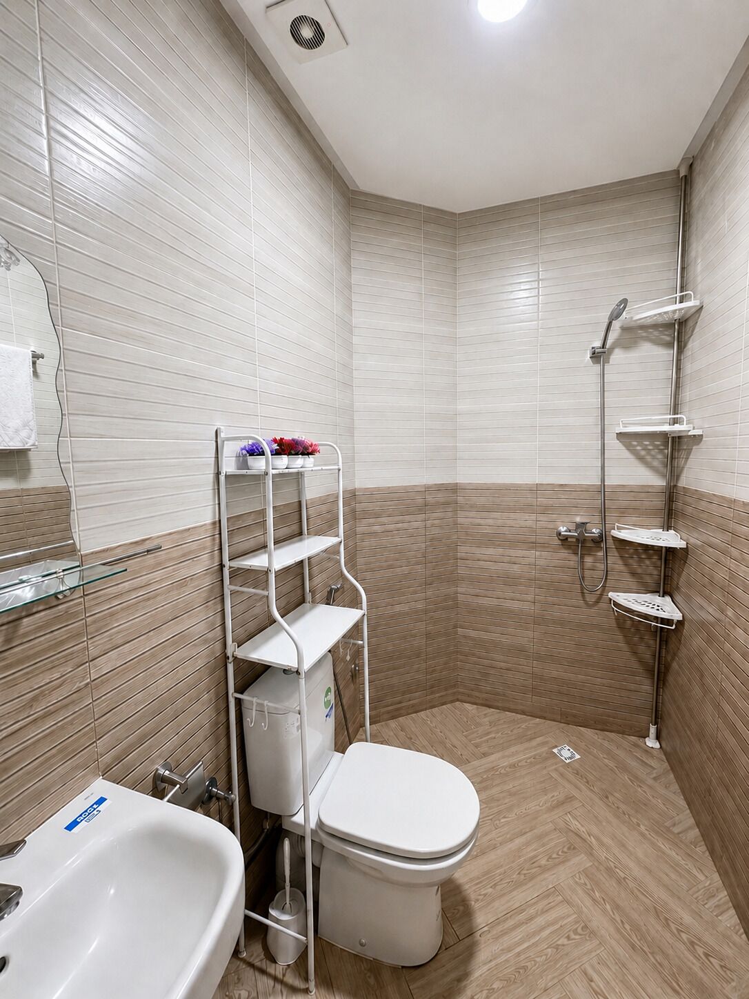 Shower, towels, toilet paper
