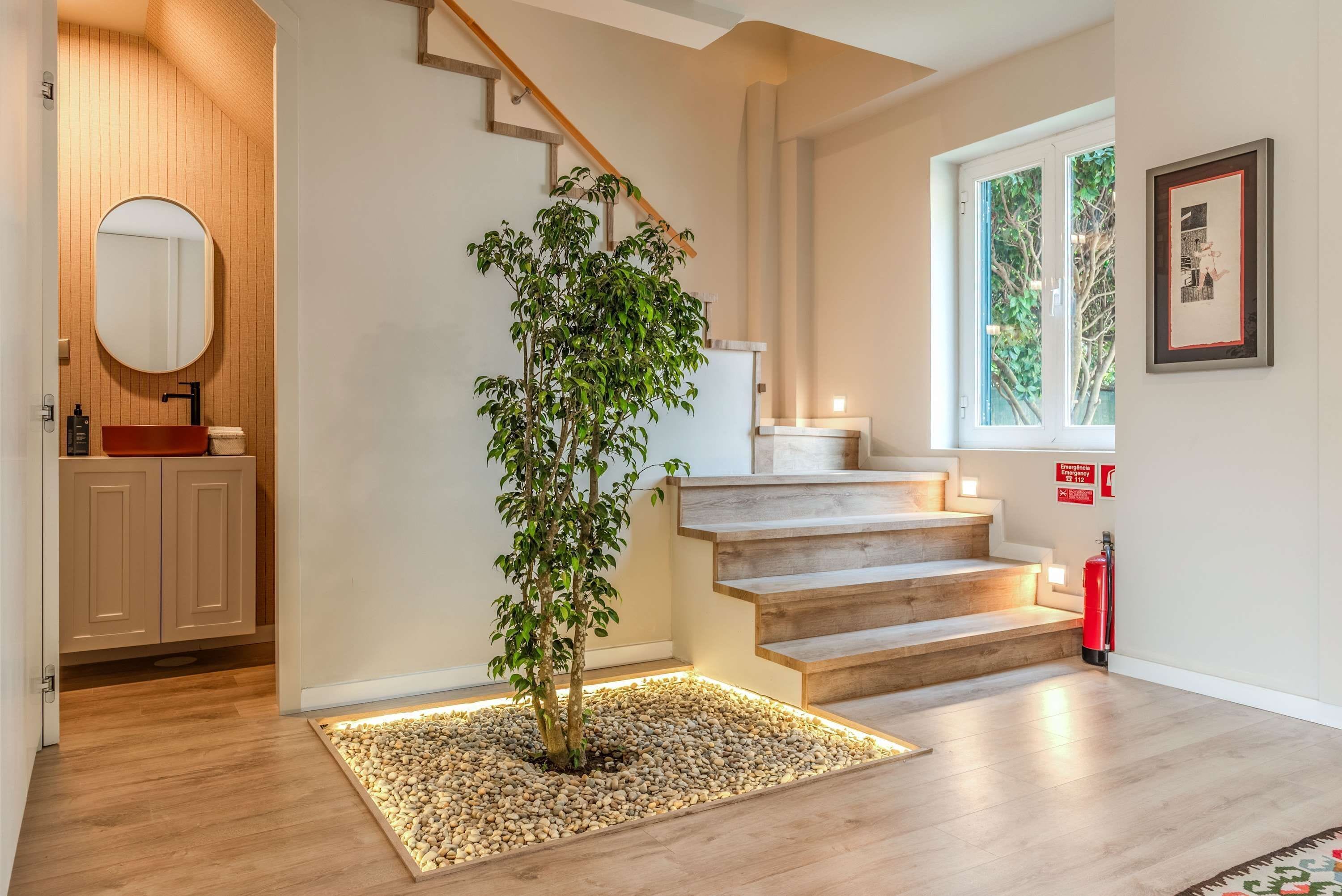 A staircase with wooden steps and a small tree in a planter at the bottom.