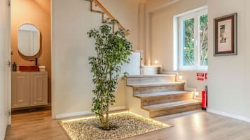 A staircase with wooden steps and a small tree in a planter at the bottom.