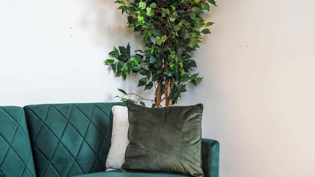 A teal upholstered sofa with a cushion, a potted plant, and a white wall. - Twin Bed Studio Apartment | Coventry CV2| Parking (Coventry)
