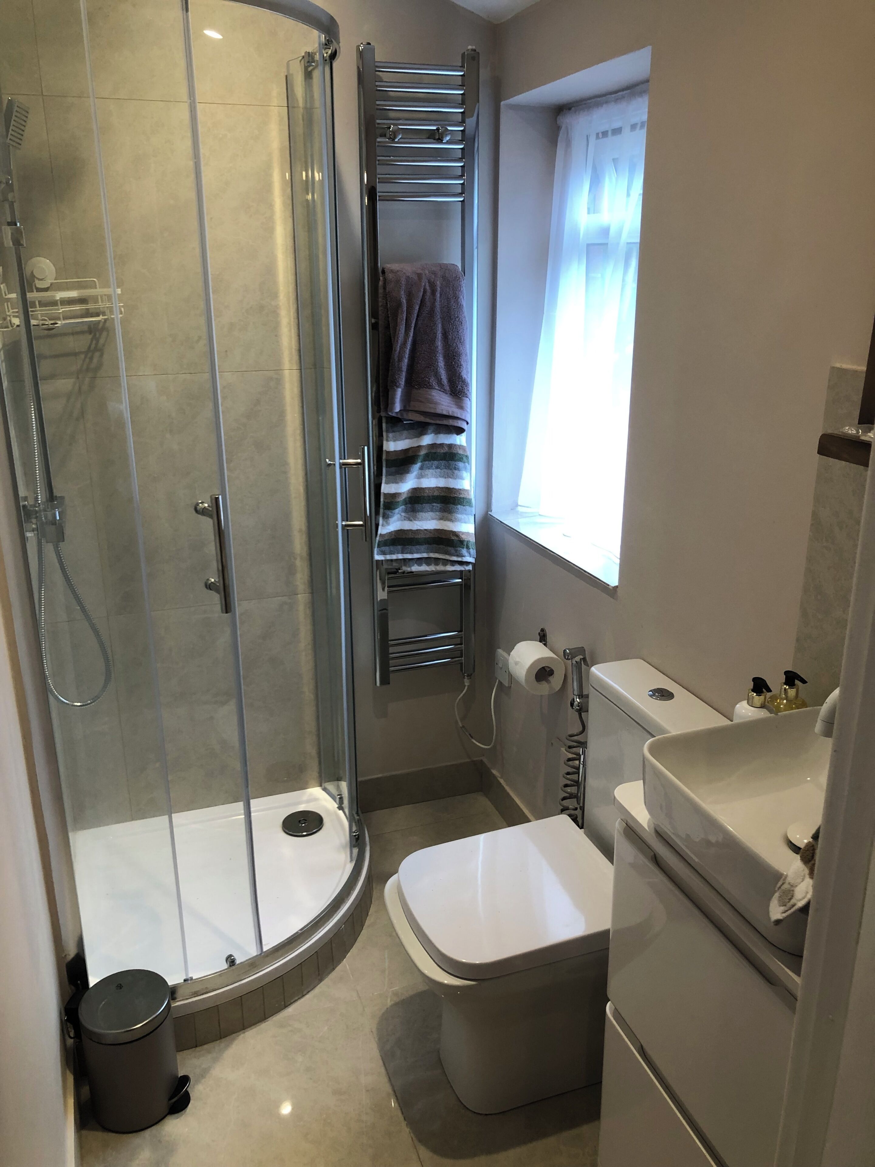 Shower, hair dryer, bidet, towels