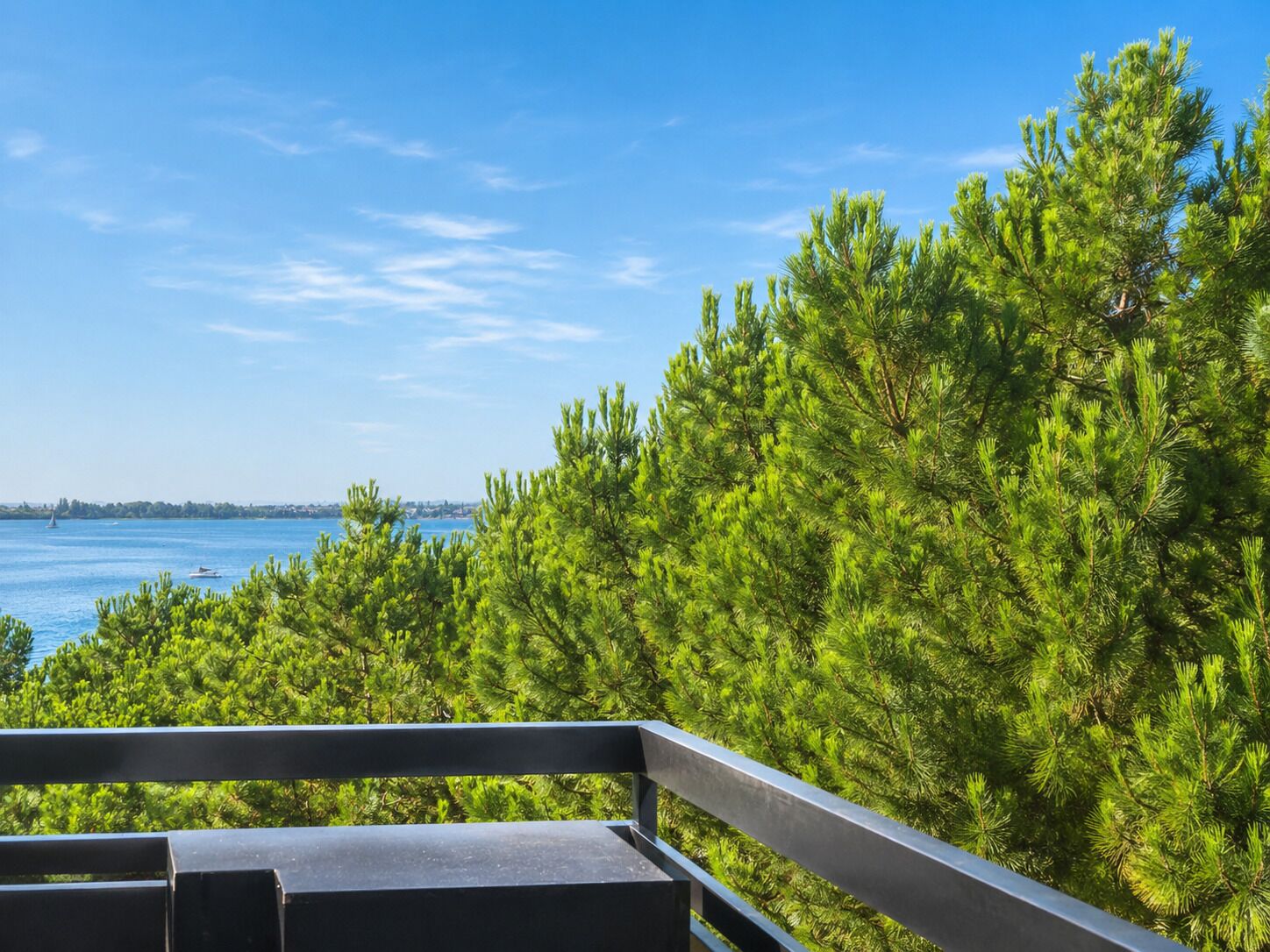 En balkon med udsigt over vand og frodig grøn bevoksning.