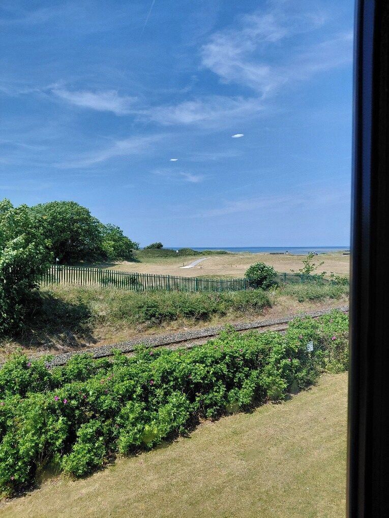Une vue d’une zone herbeuse avec une clôture, un arbre et un ciel dégagé.