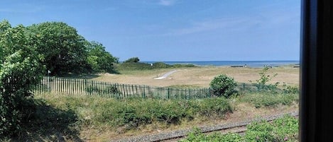 A view of a grassy area with a fence, a tree, and a clear sky.