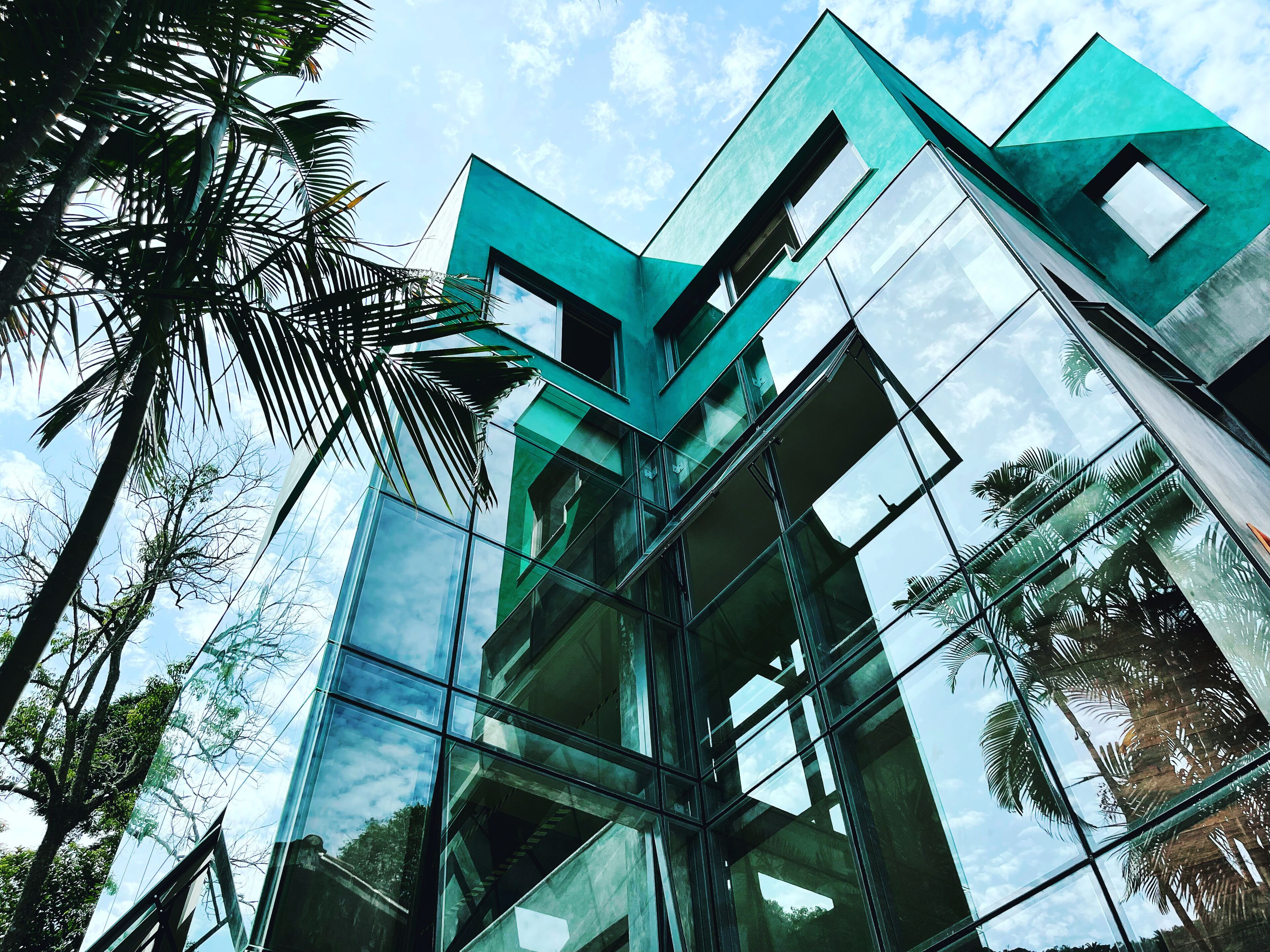 Een modern gebouw met een glazen gevel en een hoekig ontwerp, omgeven door palmbomen.