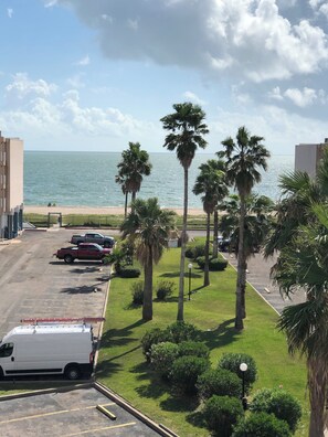 A parking lot with a white van, a red pickup truck, and a few cars. There are palm trees and a grassy area with bushes. A building is visible in the background. - Cozy 1-bedroom condo in serene Corpus Christi. (Corpus Christi)