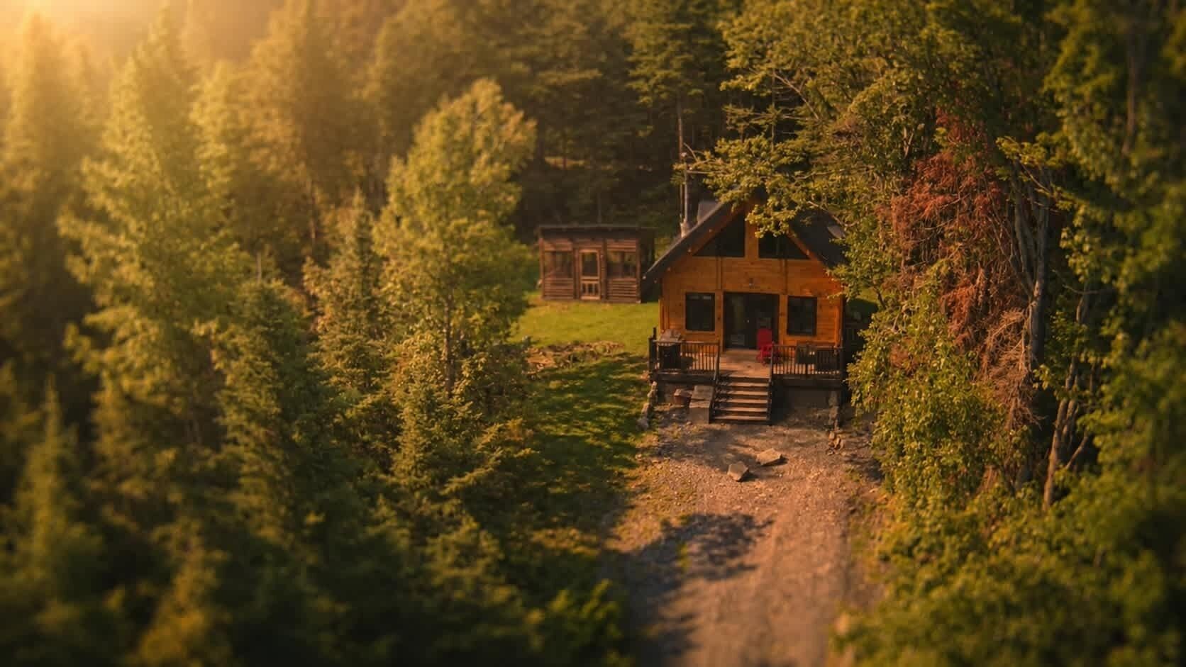 A cabin with a porch and a pathway leading to it, surrounded by dense forest.