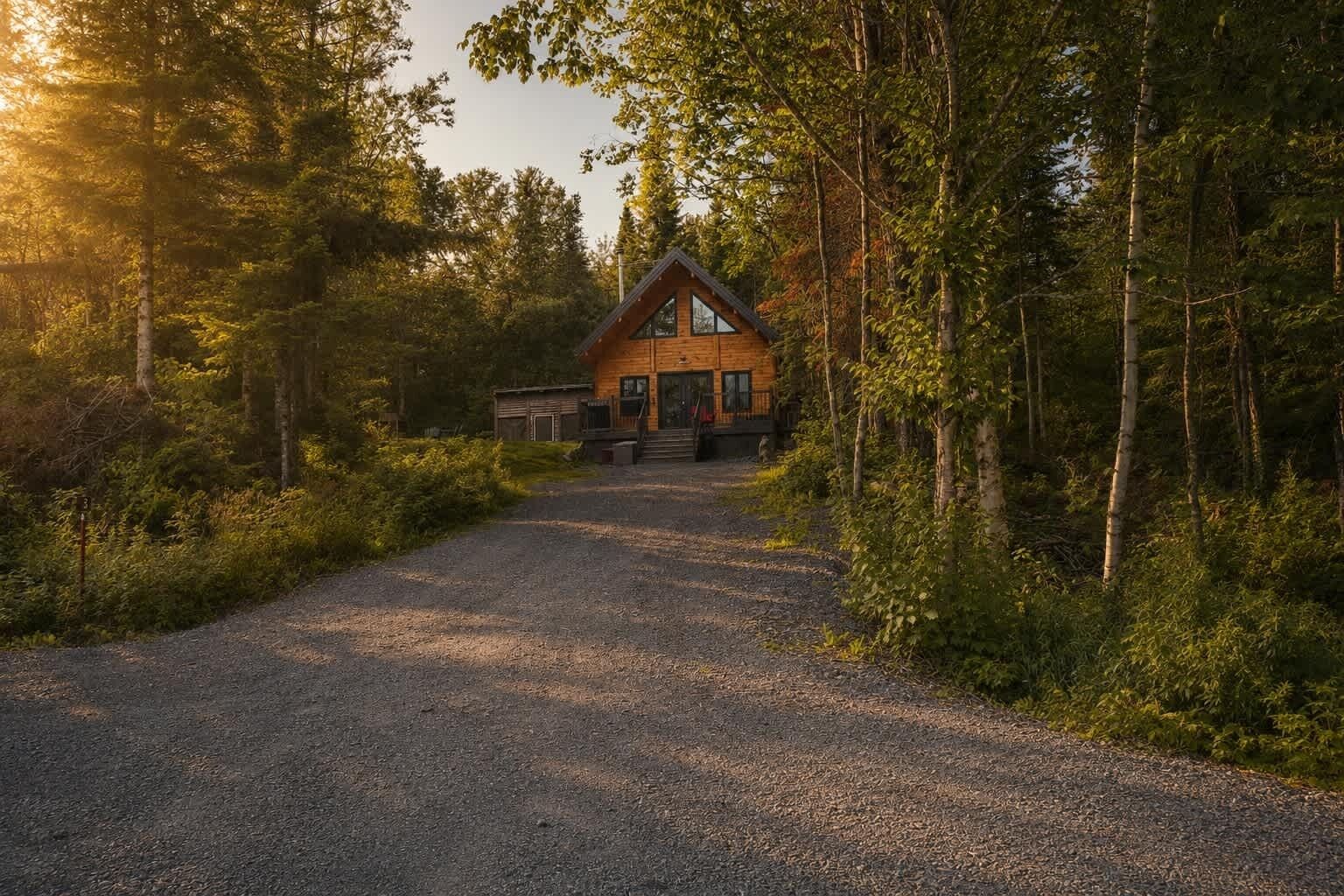 Une cabane avec une allée de gravier menant à une porte en bois, entourée d’une forêt dense.