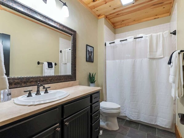 A bathroom with a sink, mirror, and toilet. - Mountain High - Hot Tub, Game Room and Views (Sapphire)