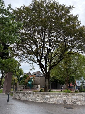 Miscellaneous - Shamrock Quay  (Cork)