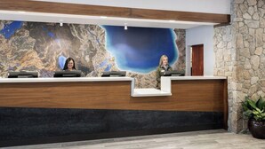Una recepción con un mural grande en la pared, una pared de piedra a la derecha y una planta en maceta.