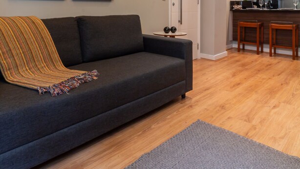 A modern living room with a dark sofa, a patterned rug, and two wall art pieces. - 9 min From Copacabana Beach Ml905 (Rio de Janeiro)