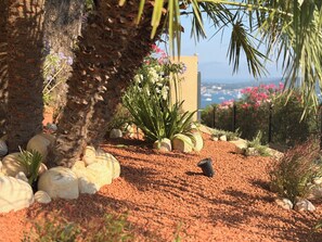A landscaped garden with palm trees, rocks, and various plants.