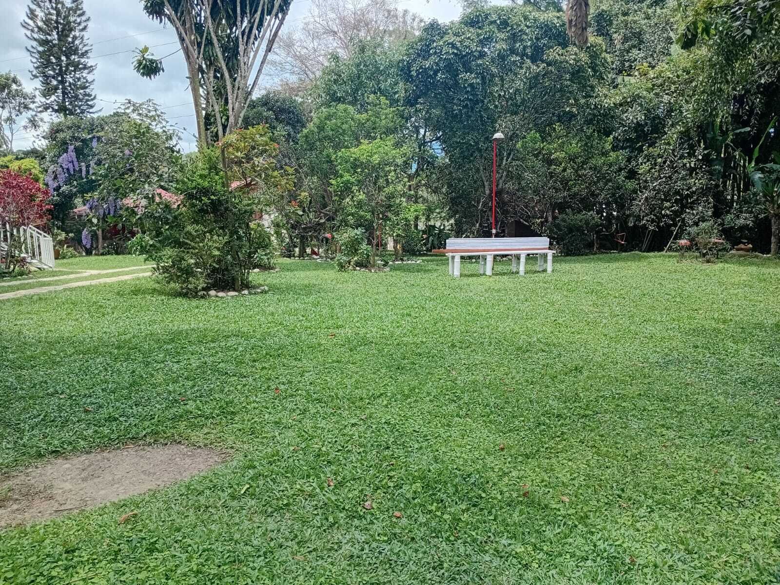 A grassy outdoor area with a bench and a lamp post.