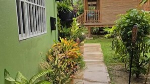 A narrow pathway leading to a wooden house with a metal roof, surrounded by potted plants and greenery.