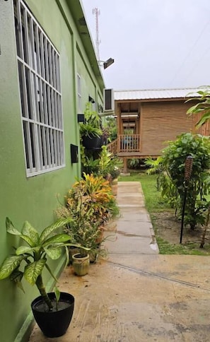 A narrow pathway leading to a wooden house with a metal roof, surrounded by potted plants and greenery.