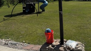 A basketball hoop with a net, a red bucket, and a playground structure in a grassy field. - Family friendly 3-bedroom cabin in peaceful Vanderbilt. Private. Large groups. (Vanderbilt)