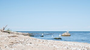 Spiaggia