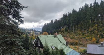 Forest cabin with a fireplace and a view—right on the "Vogtland Panorama Trail"!