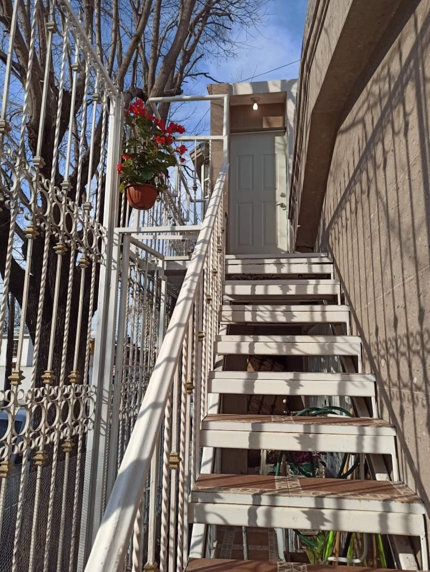 A staircase with white railings and a potted plant with red flowers.