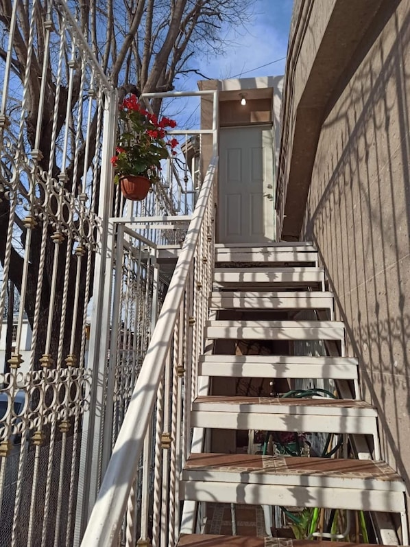 A staircase with white railings and a potted plant with red flowers.