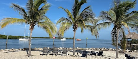 A beach with palm trees, chairs, and a view of the sea.