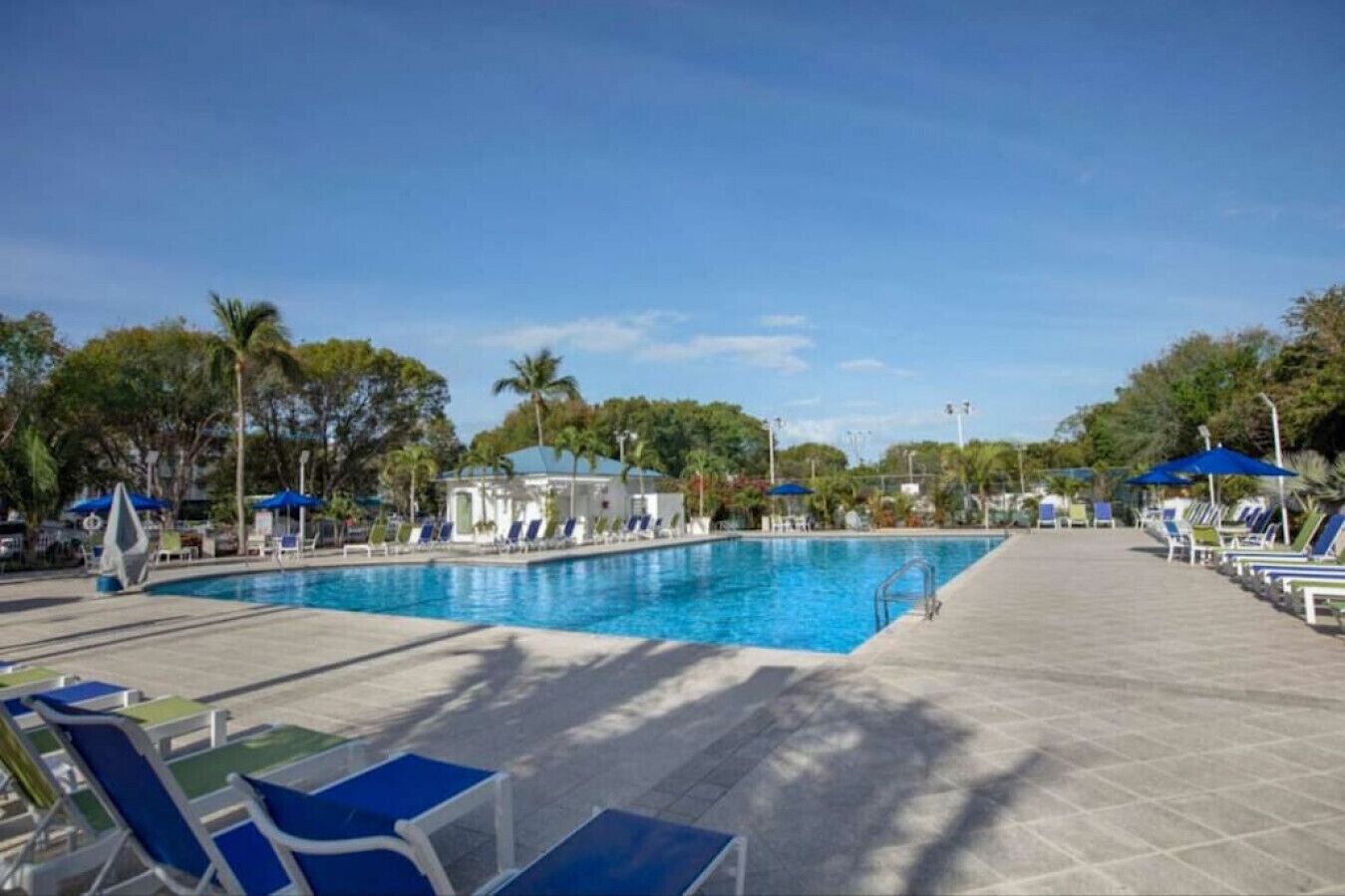 A swimming pool with lounge chairs and umbrellas, surrounded by palm trees and a clear sky.