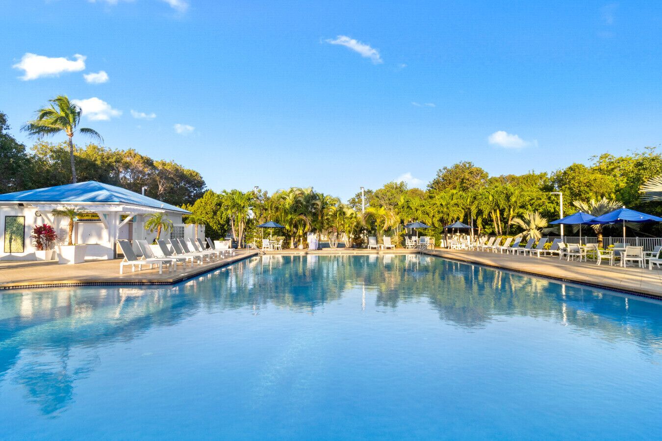 A swimming pool with lounge chairs and umbrellas, surrounded by palm trees and a clear sky.