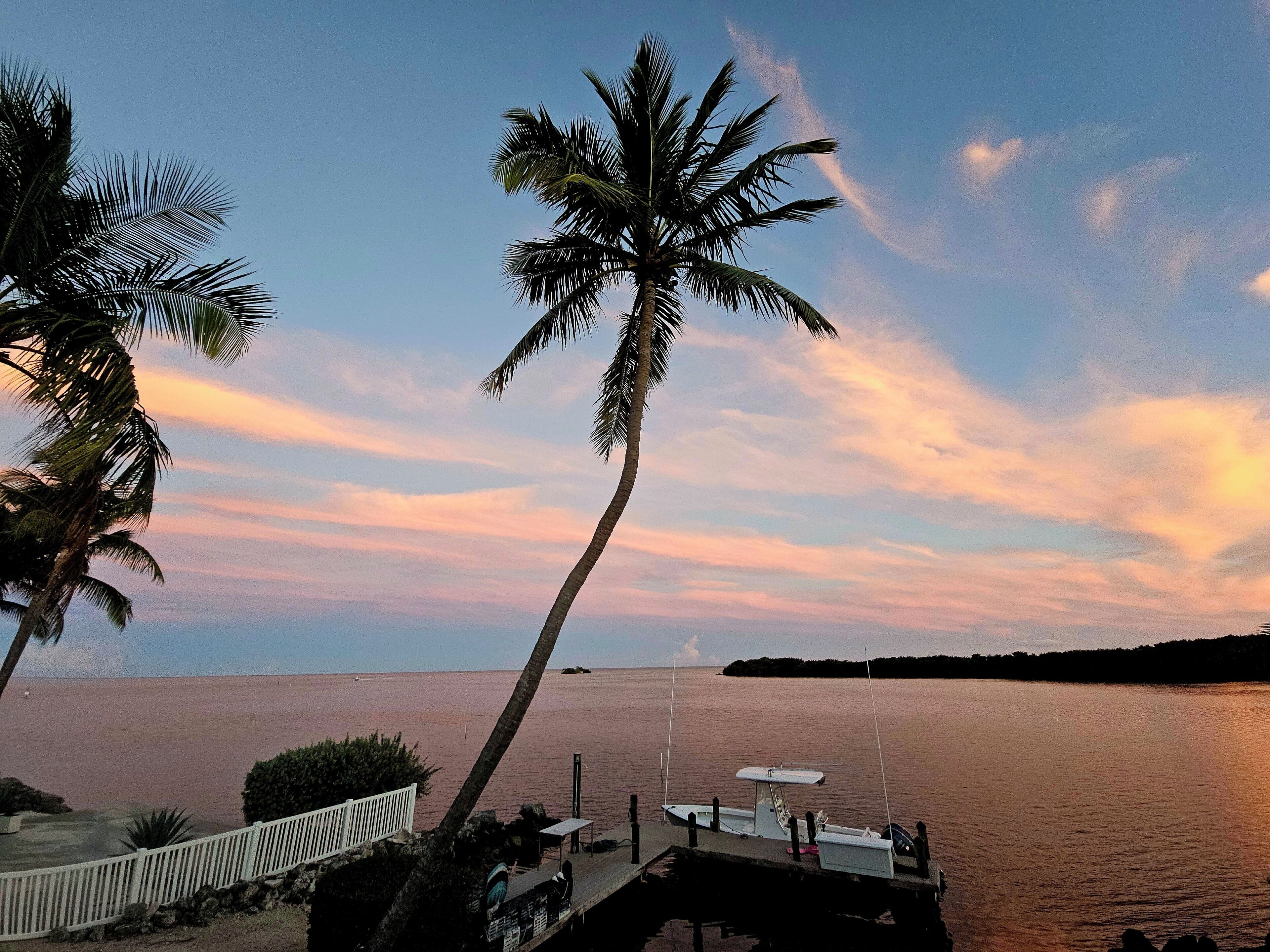 A dock with a boat, palm trees, and a calm body of water during sunset.