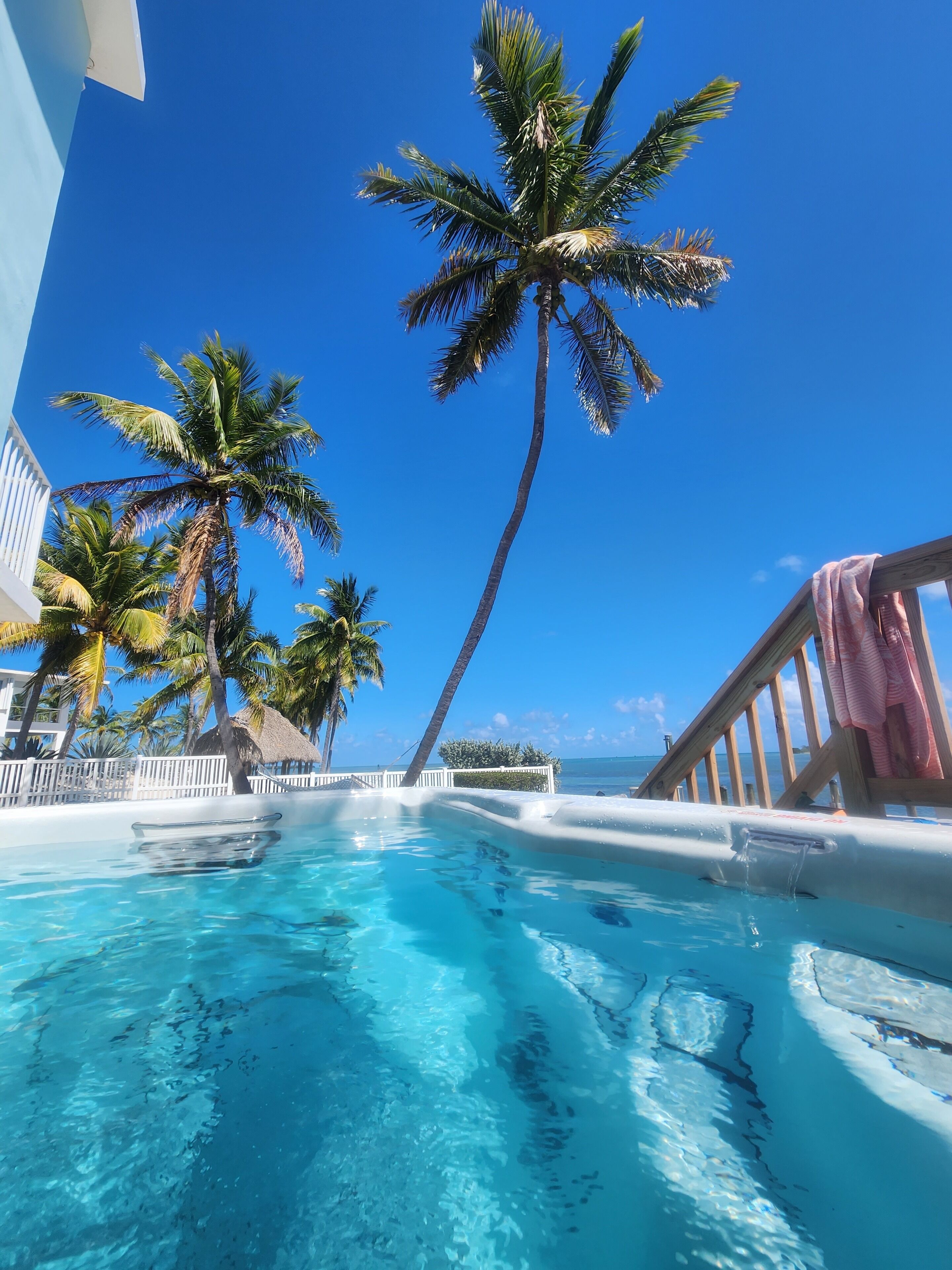 A pool with clear blue water, surrounded by palm trees and a wooden deck.