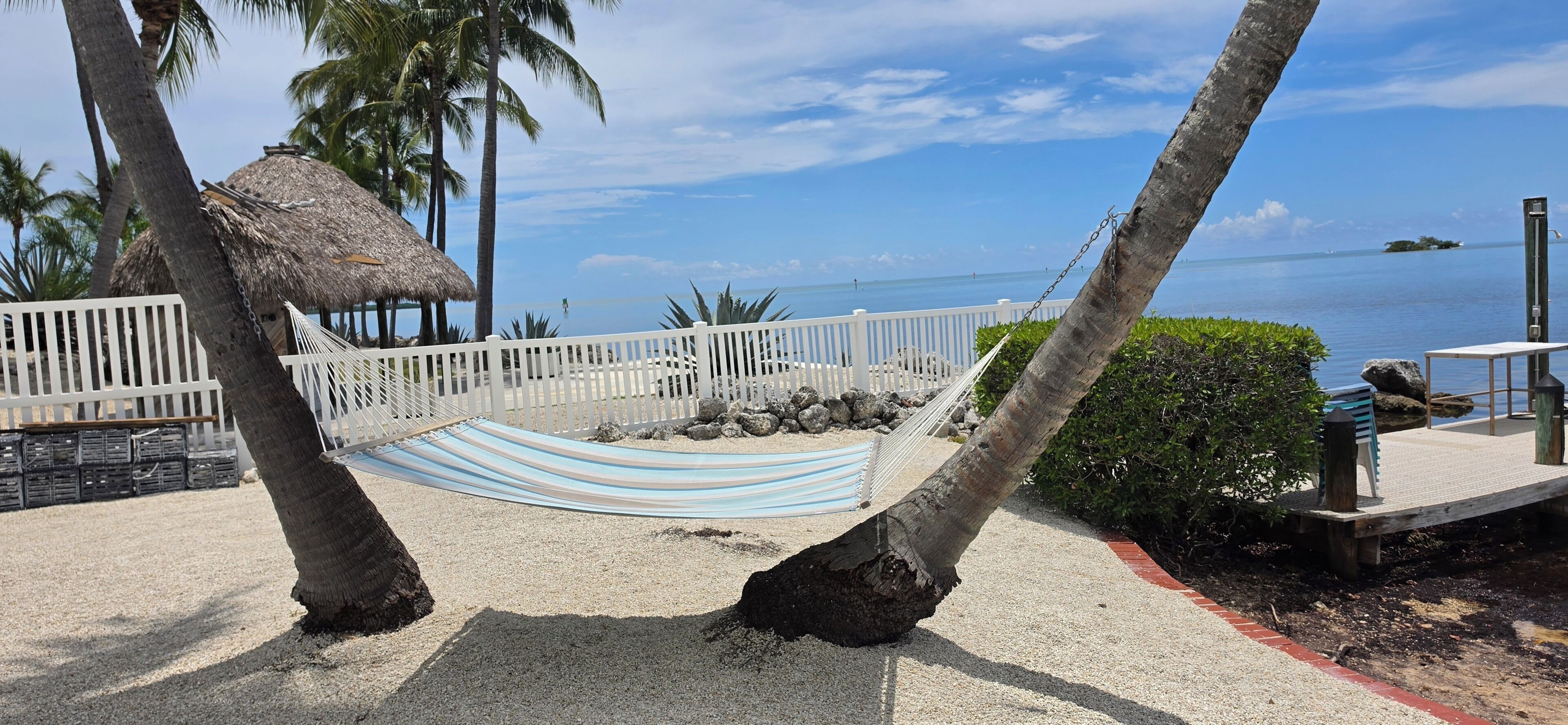 A hammock between palm trees, a white fence, and a view of the ocean.