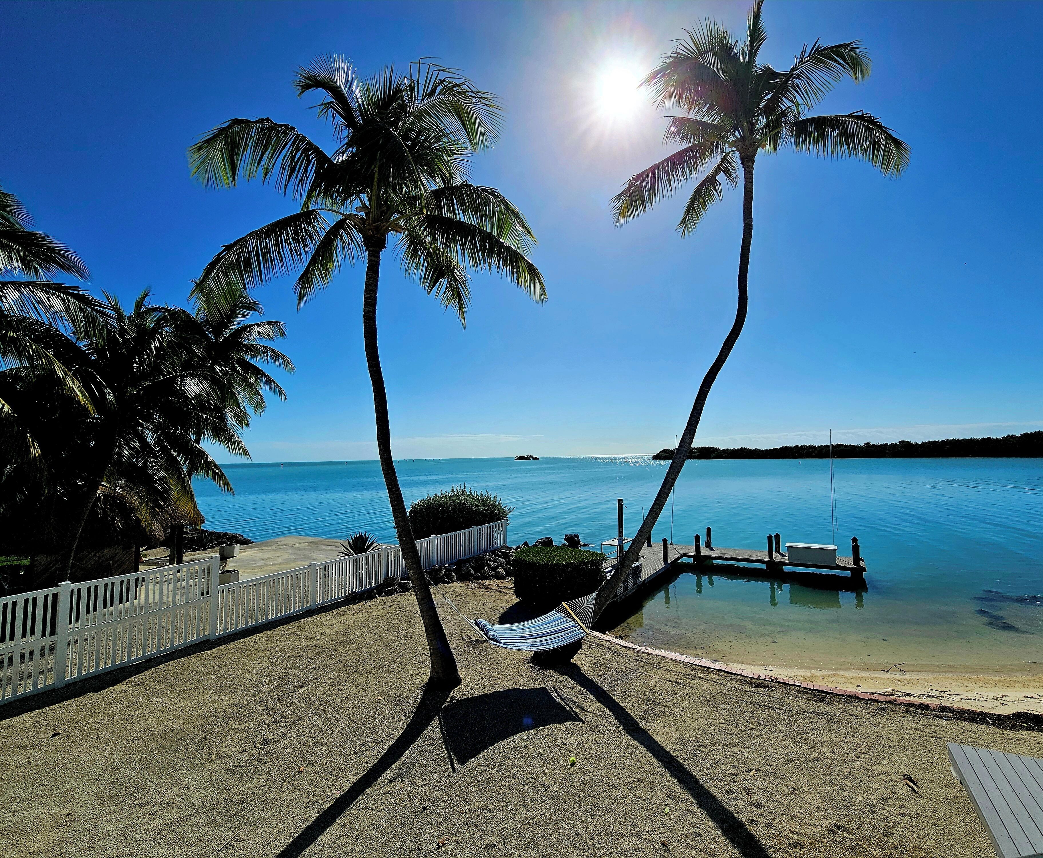 A beach with palm trees, a dock, and a clear blue sky.