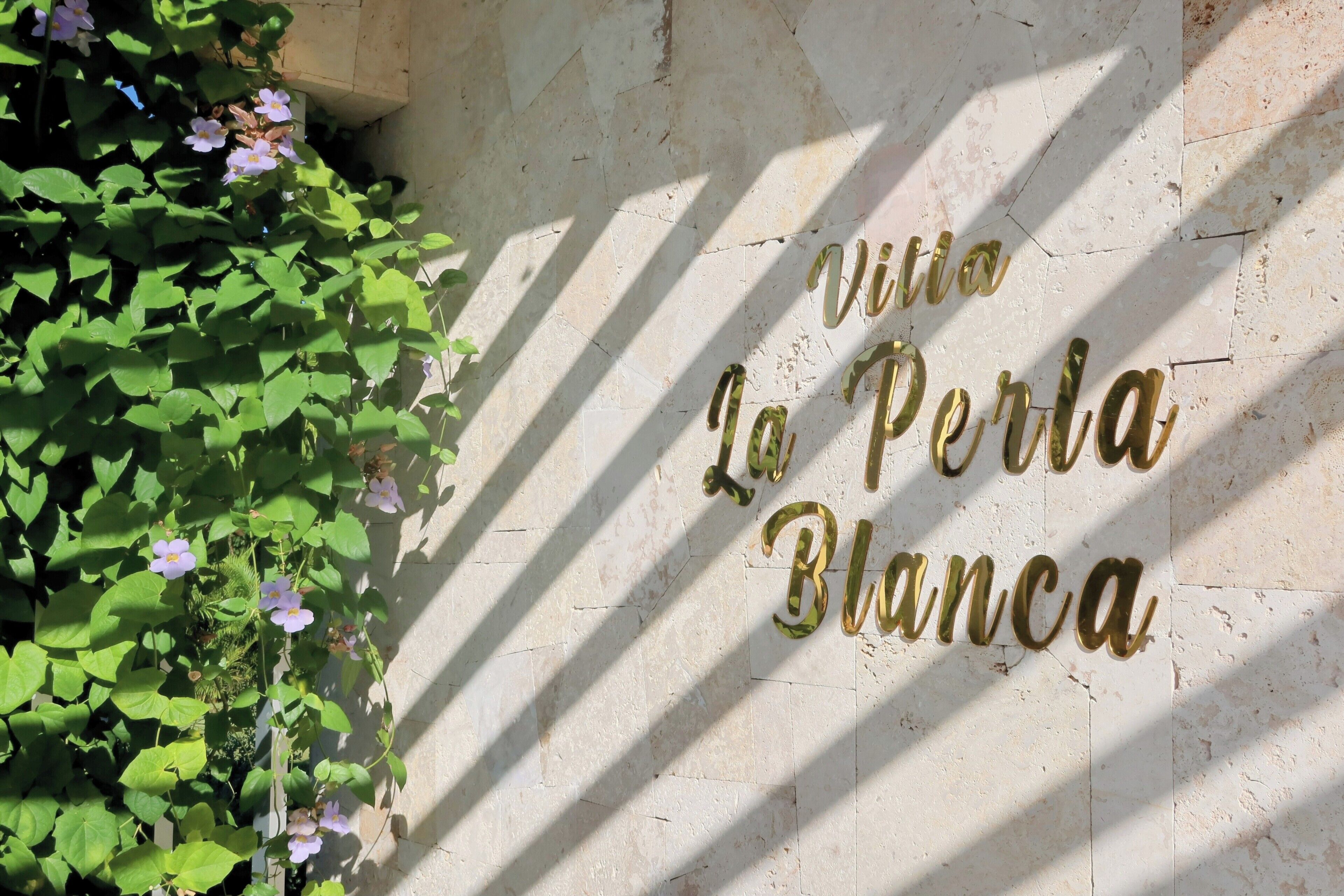 Detalle exterior