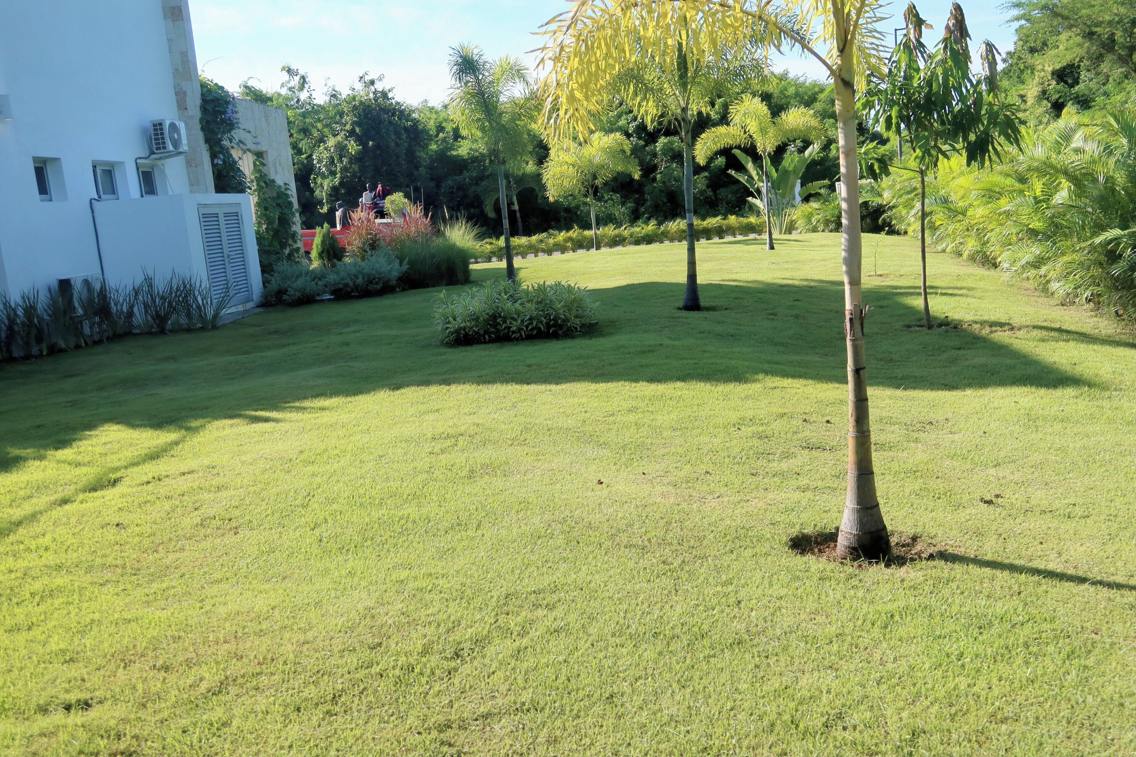 Un área verde bien cuidada, con algunos árboles y un edificio blanco que tiene unidades de aire acondicionado.