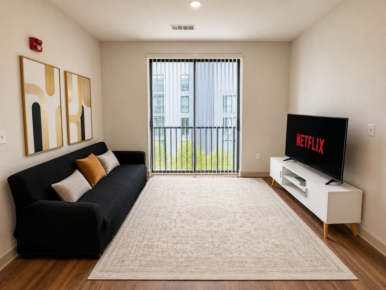 TV