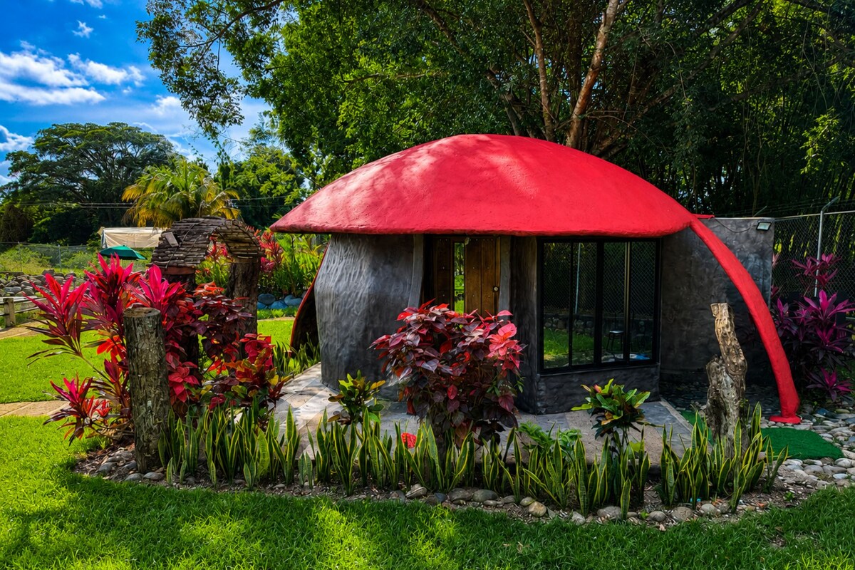 Una casa moderna con techo de forma abovedada color rojo, rodeada por un jardín con diversas plantas y un camino de piedra.