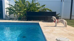 Ein Swimmingpool mit klarem, blauem Wasser, ein kleiner Hund auf der Terrasse und ein weißer Zaun im Hintergrund.