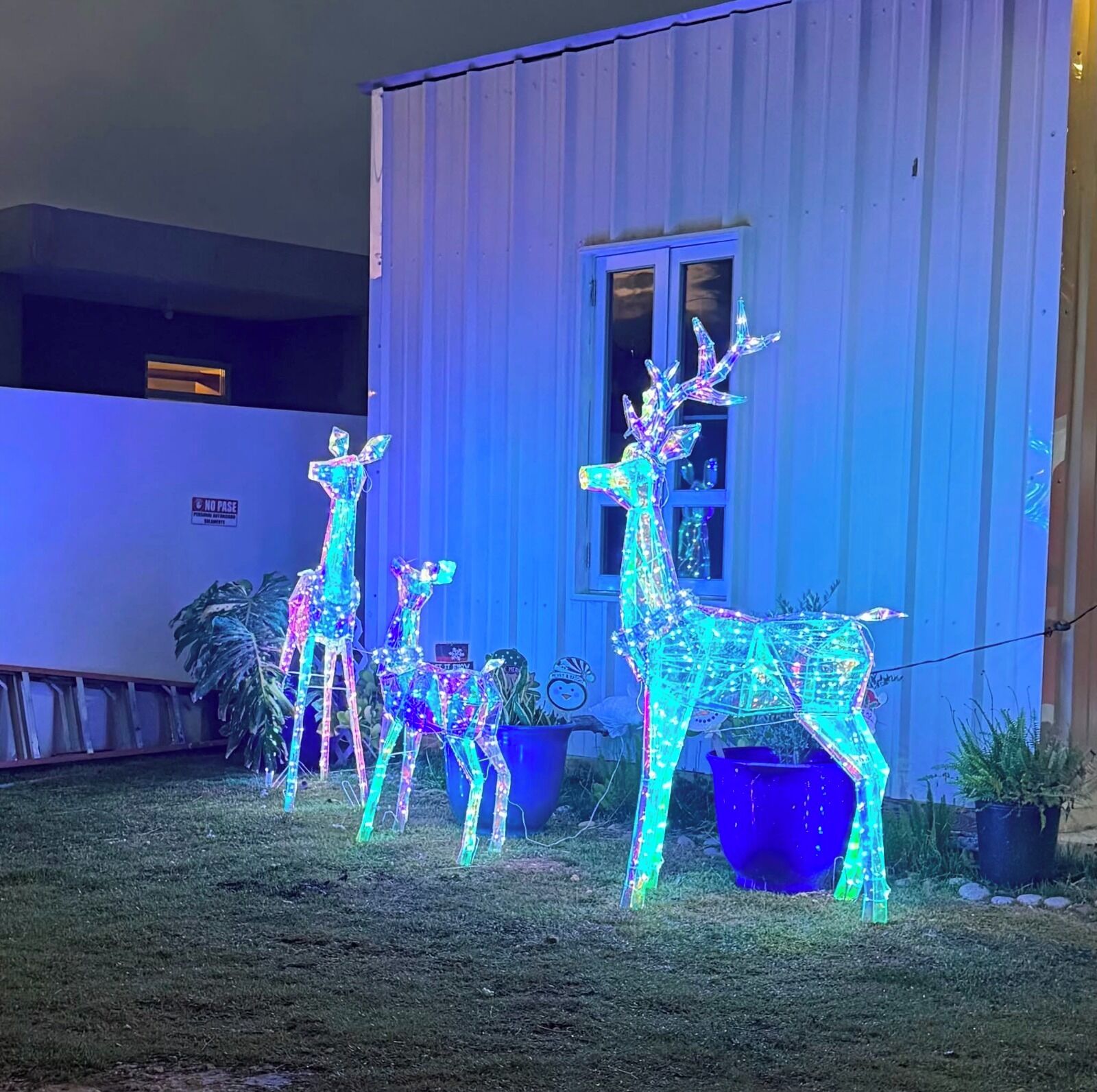 A building with a 'NO PASE' sign, a window, and three illuminated reindeer figures.