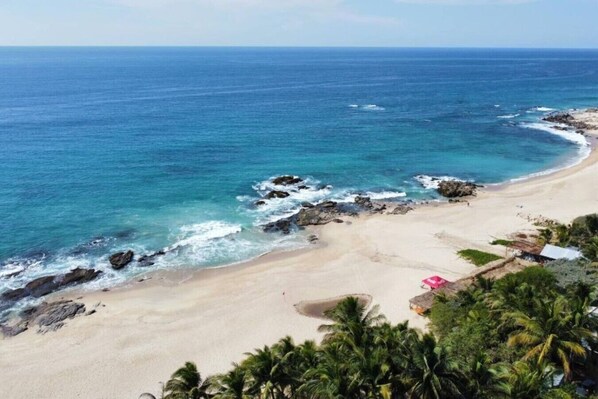 A beach with clear blue water, sandy shore, and palm trees.