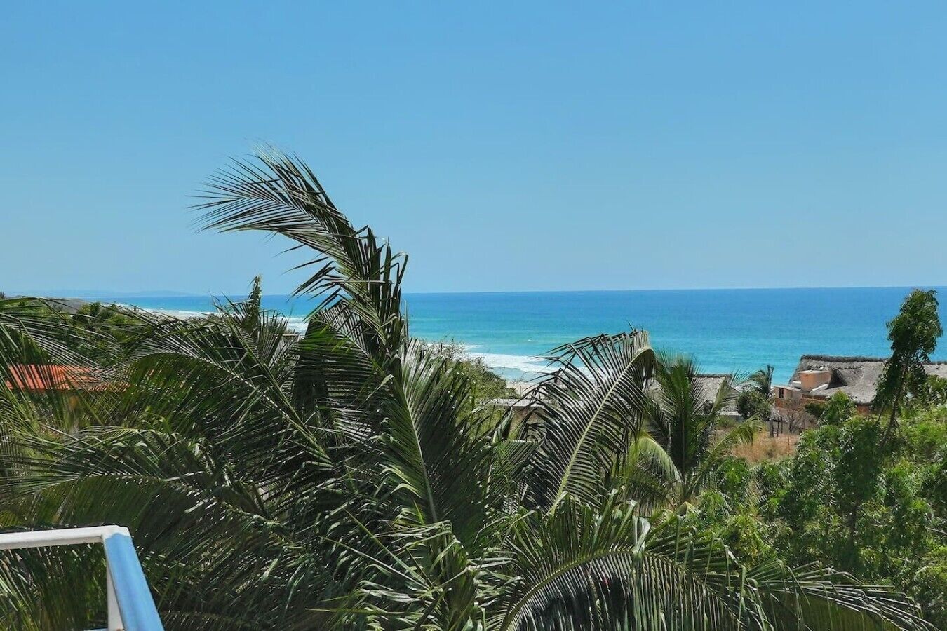 Une vue sur la côte, avec des palmiers et un ciel dégagé.