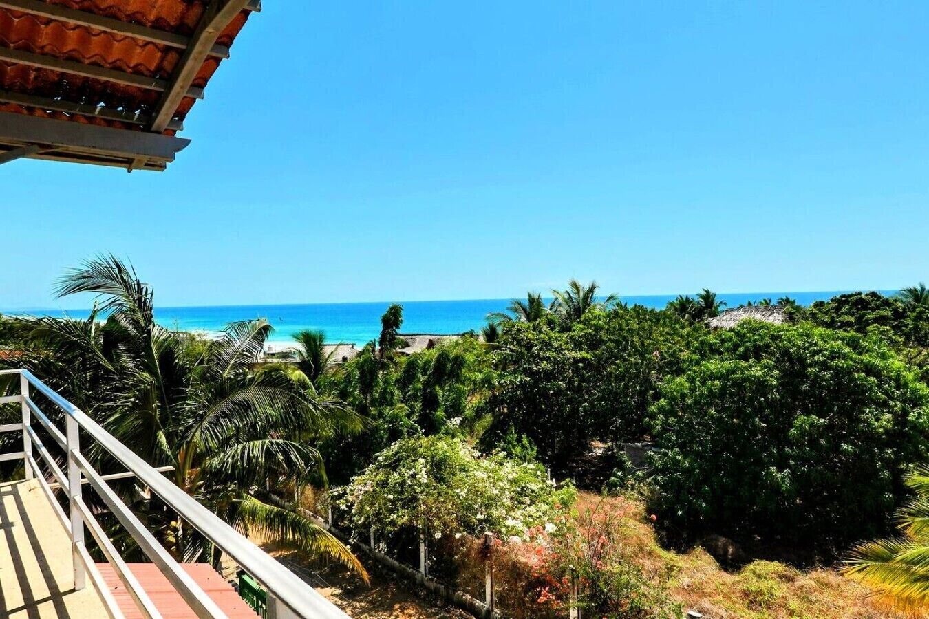 Un balcon offrant une vue sur l’océan et une végétation tropicale luxuriante.