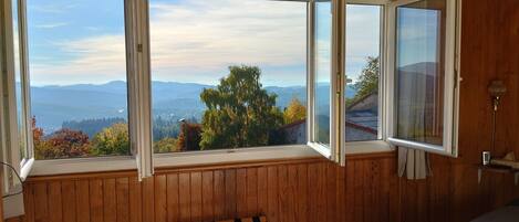 A room with a large window offering a view of mountains and trees.