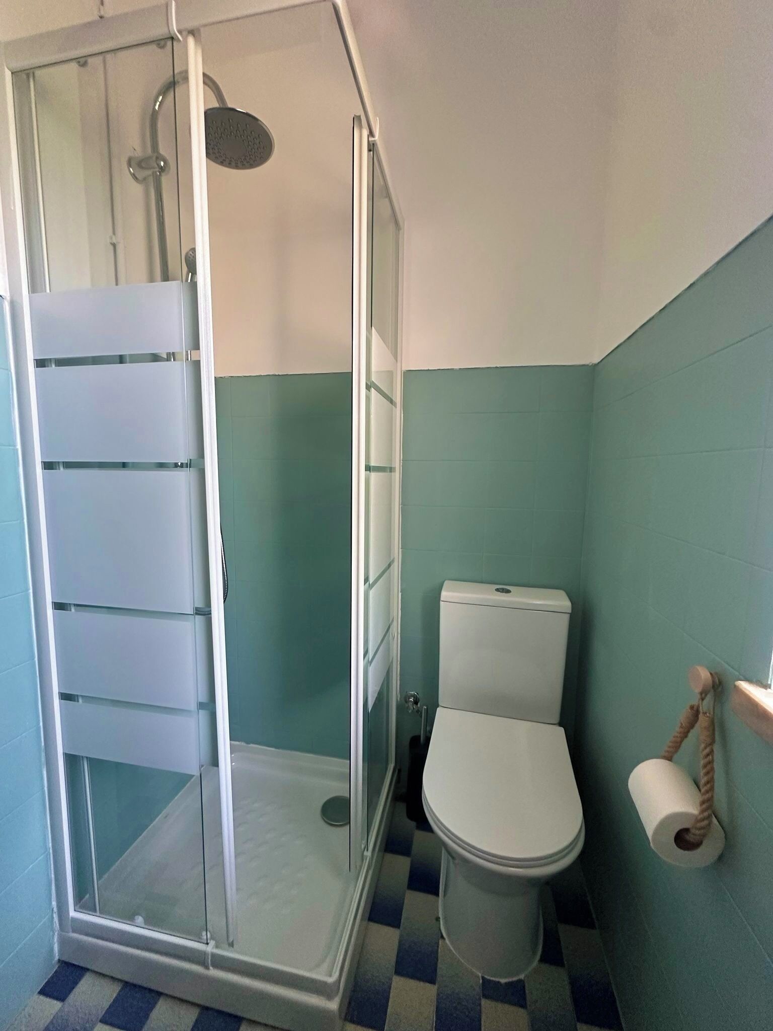 Ein Badezimmer mit Duschkabine, Toilette und einer Toilettenpapierrolle an der Wand.